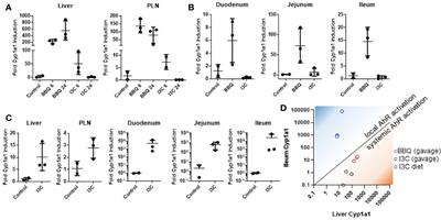 Dietary Indole-3-Carbinol Activates AhR in the Gut, Alters Th17-Microbe Interactions, and Exacerbates Insulitis in NOD Mice